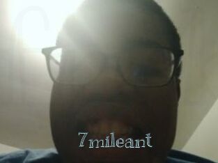 7mileant