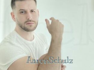 AaronSchulz