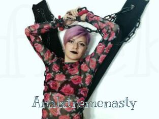 Analxtremenasty