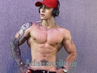 Adamscollims