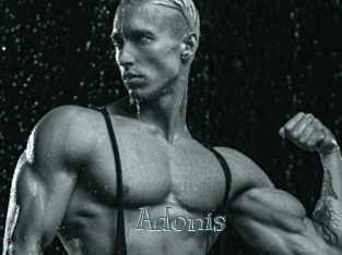 Adonis_