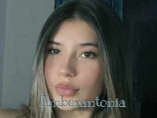 Amberantonia