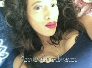 Aminabordeaux