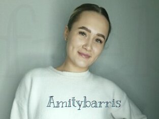 Amitybarris