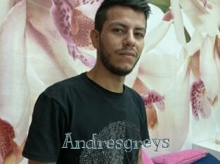 Andresgreys