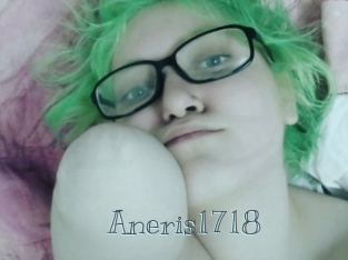 Aneris1718