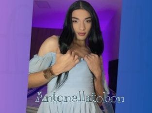 Antonellatobon