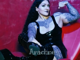 Arachne