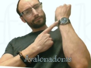 Avalonadonis