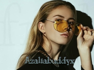 Azaliabuddyx