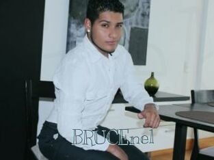 BRUCEnel