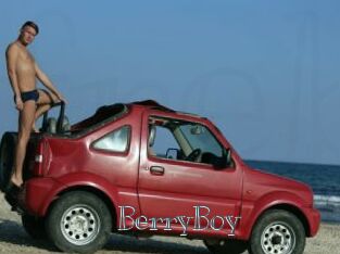 BerryBoy