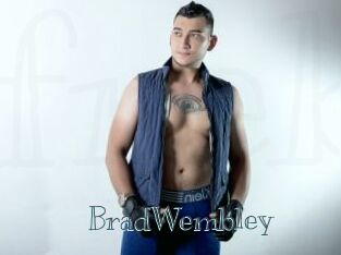 BradWembley Free bizarre links