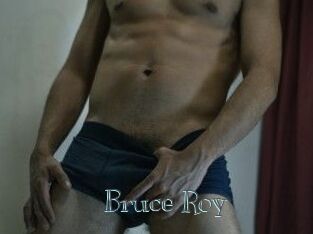 Bruce_Roy