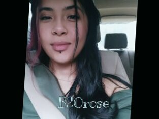 B20rose