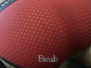 Bicub