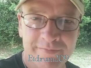 Bidrum209