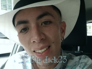 Big_dick23