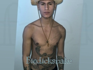 bigdicksnake Free bizarre links