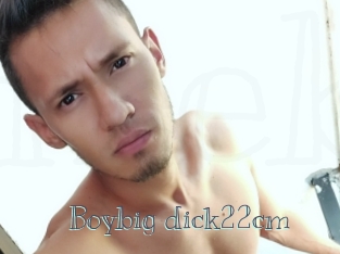 Boybig_dick22cm