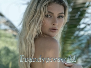Brandygoeswild