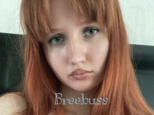 Breebuss