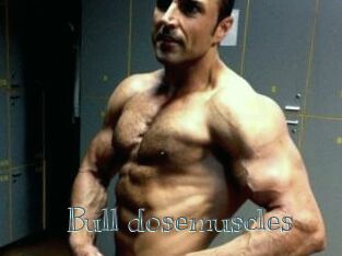 Bull_dosemuscles