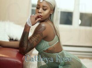 Cattleya_Rose