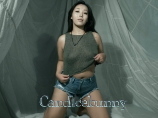 Candicebunny