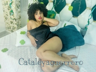 Cataleyaguerrero