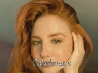 Cateheaps