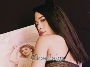 Cloeclean