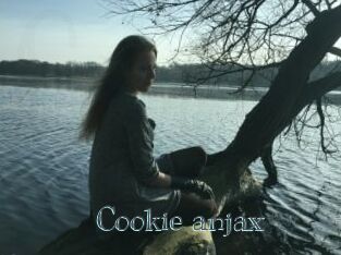 Cookie_anjax