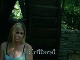 Crittacat