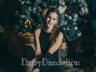 DaisyDandelion