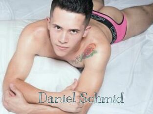 Daniel_Schmid