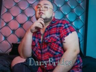 DanyBridge