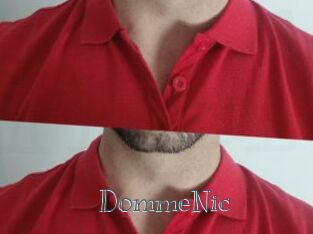 DommeNic