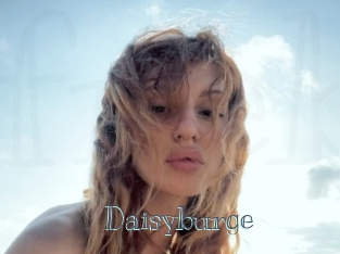 Daisyburge