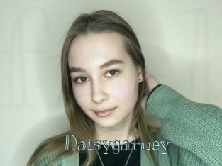 Daisygarney