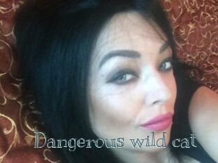 Dangerous_wild_cat