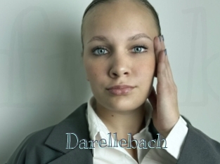 Darellebach