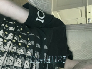 David1123