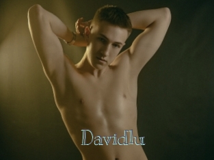 Davidlu