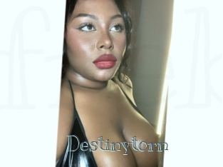 Destinytorn