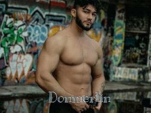 Donmerlin