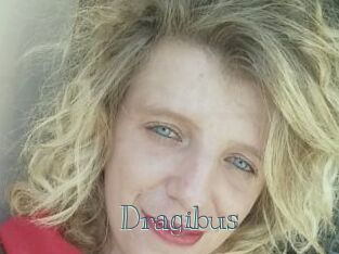 Dragibus