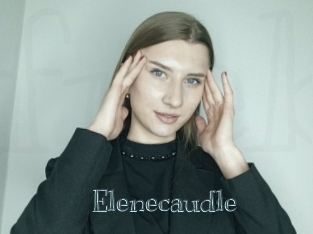 Elenecaudle