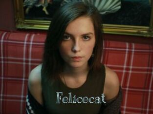 Felicecat