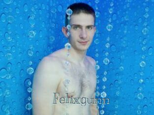 Felixgunn